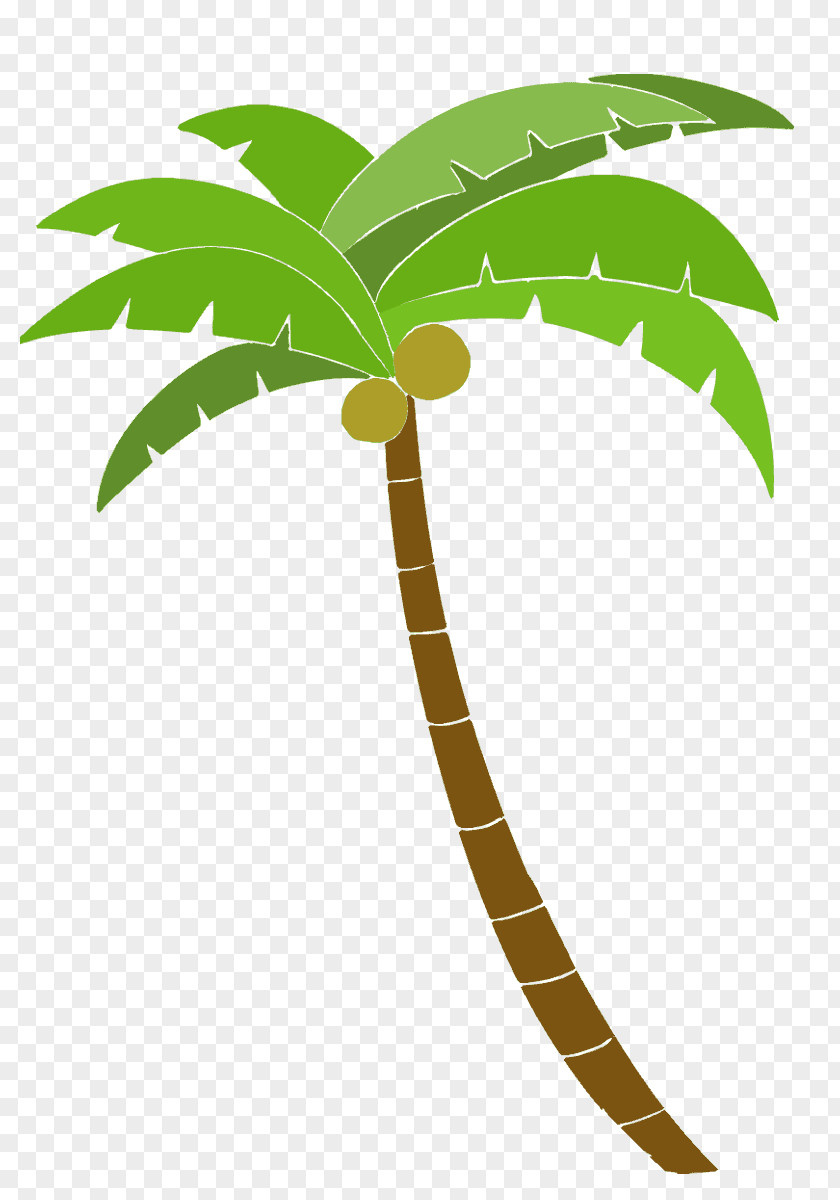 Tree Arecaceae Illustrator PNG