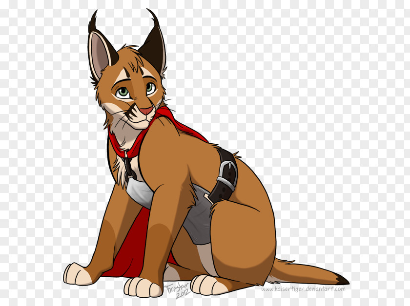 Whiskers Drawing Red Fox Cat PNG