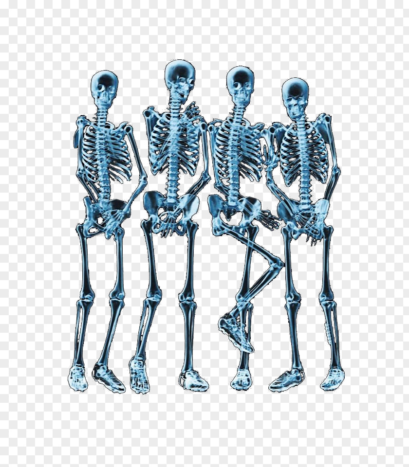 Body Skeleton Printed T-shirt X-ray Bone PNG