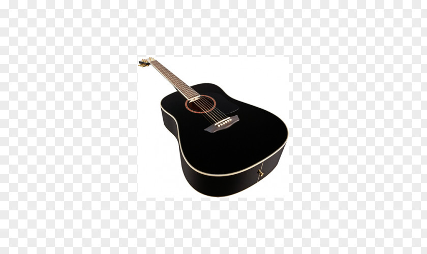 Acoustic Guitar Acoustic-electric Dreadnought Washburn Guitars PNG