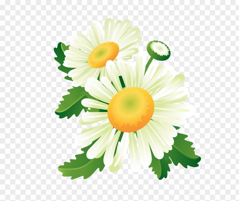 Flower Banner Stock Photography Clip Art PNG