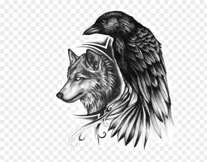 Indianer Common Raven Indian Wolf Tattoo Drawing PNG