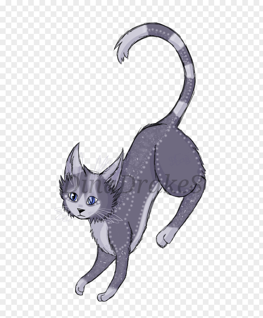 Kitten Domestic Short-haired Cat Tabby Whiskers Black PNG