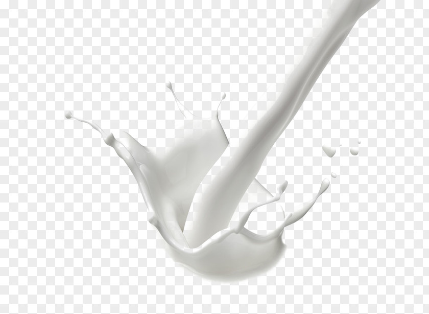 Pour Milk Vector Juice Cows Cattle Drink PNG