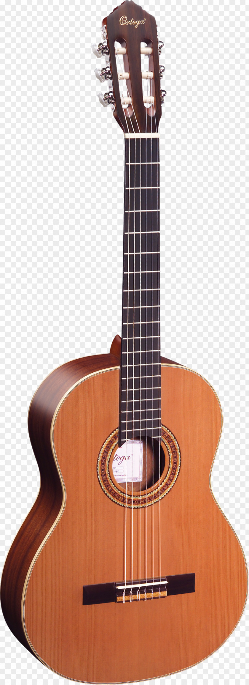 Amancio Ortega Fender Bullet Steel-string Acoustic Guitar Classical Musical Instruments PNG