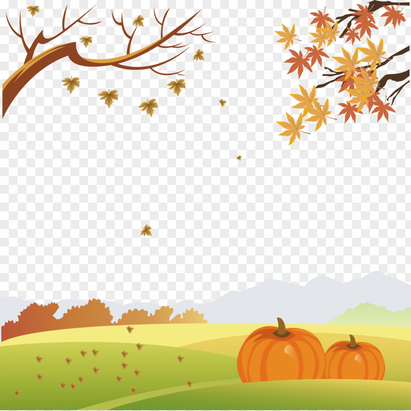 Autumn Pumpkin Vector Drawing Decorative Arts Illustration PNG