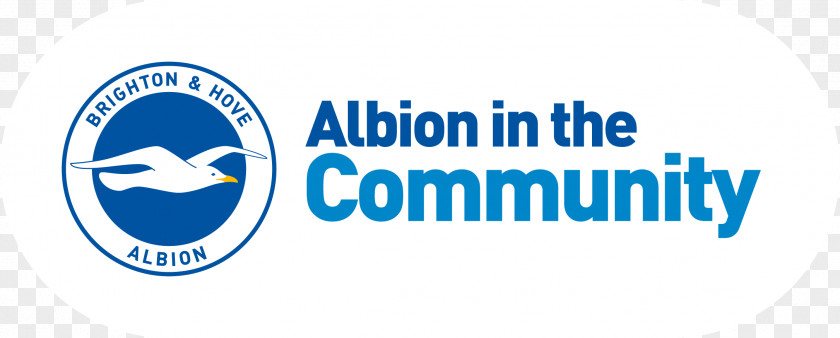 Brighton & Hove Albion F.C. In The Community Coombe Road Primary School Association Football Manager PNG