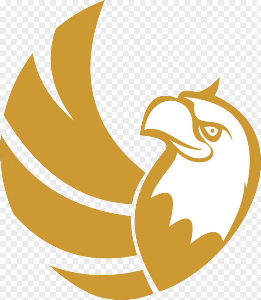 Golden Eagle Silhouette Bird Falcon Logo PNG