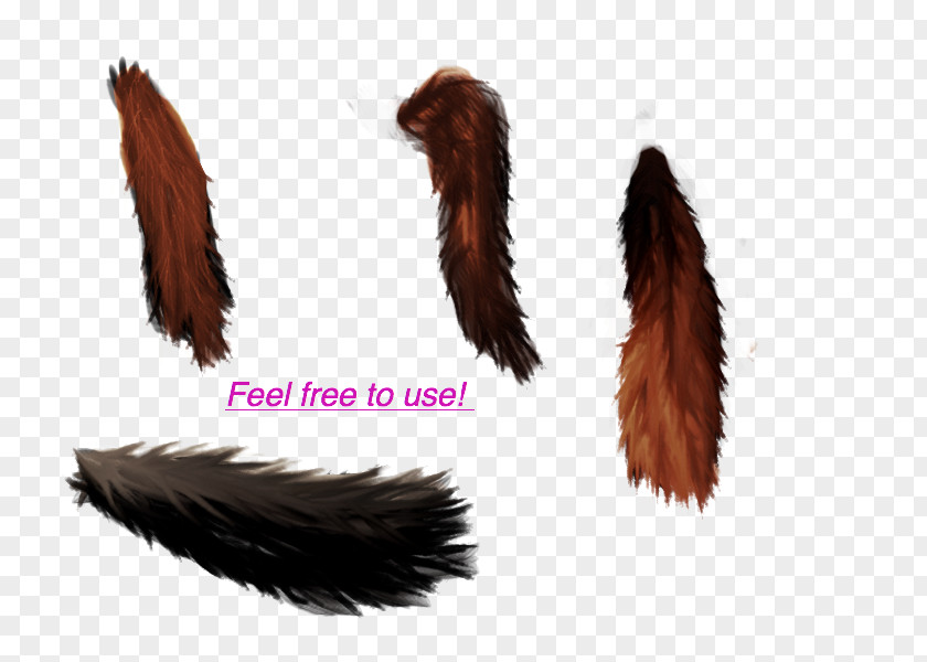 Pin The Tail On Horse Fur PNG