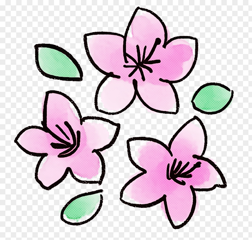 Pink Petal Flower Plant Magenta PNG