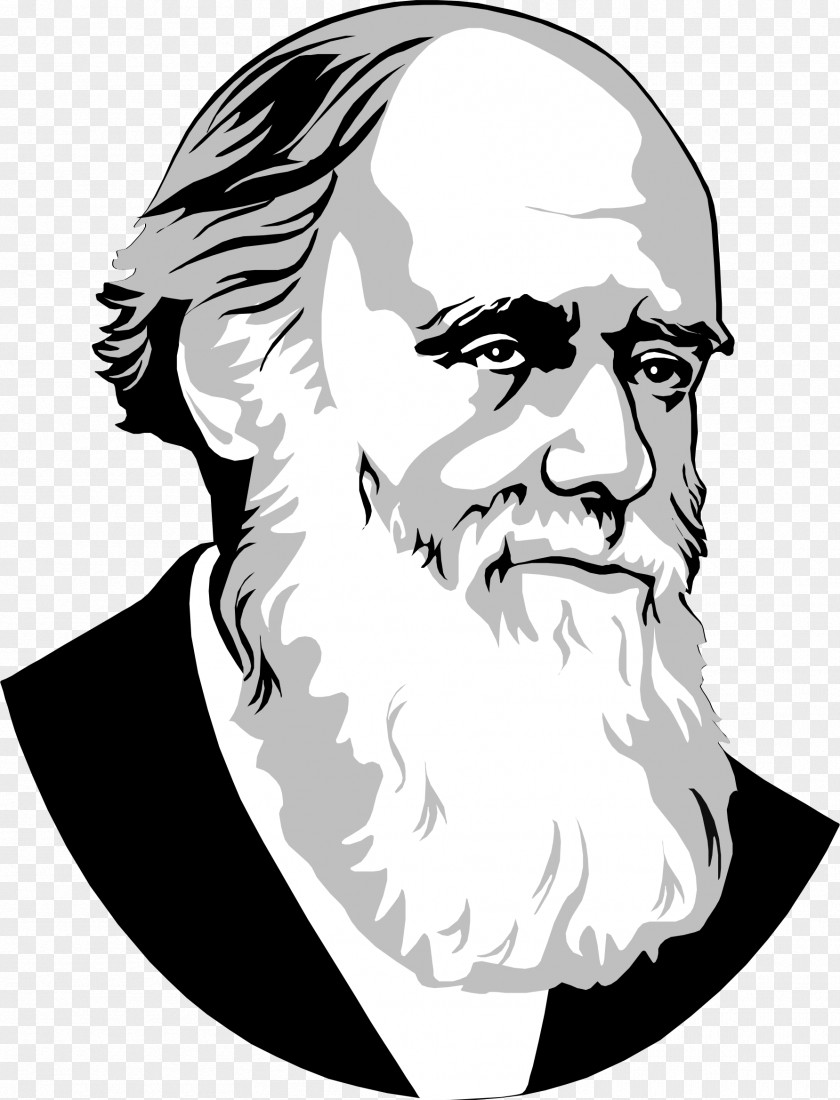 Wise Man Drawing Clip Art PNG