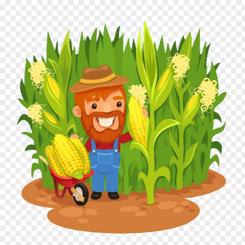 Corn Cartoon Image Of Farmers In Fields Maize Farmer Field Clip Art PNG