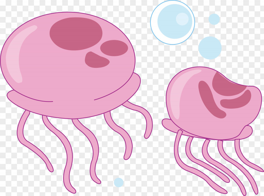 Jellyfish Sea Lion Painting Image 0 PNG