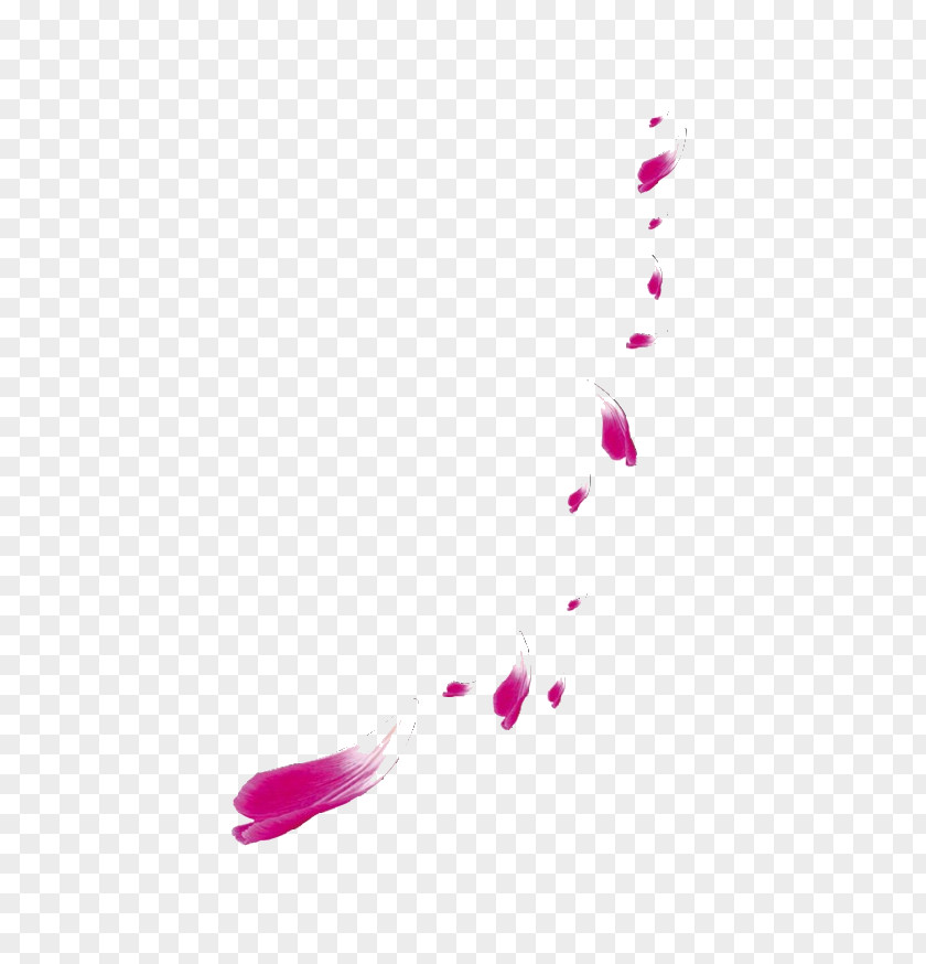 Purple Scroll Petal Pink Image Color PNG