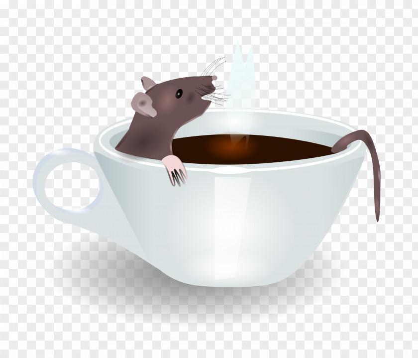 Red Beans Coffee Cup Laboratory Rat Cafe PNG