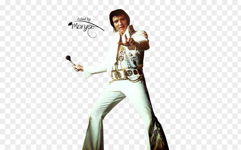 Elvis Presley Elvis: That's The Way It Is Marriage Animation Film PNG