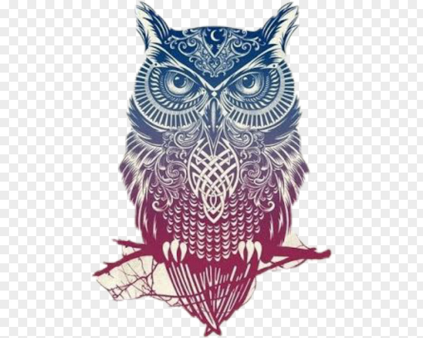 Owl Little Tattoo Color Pin PNG