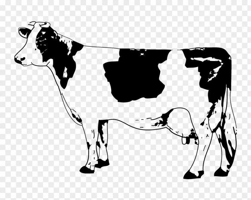 Sketch Cow Angus Cattle Calf Clip Art PNG