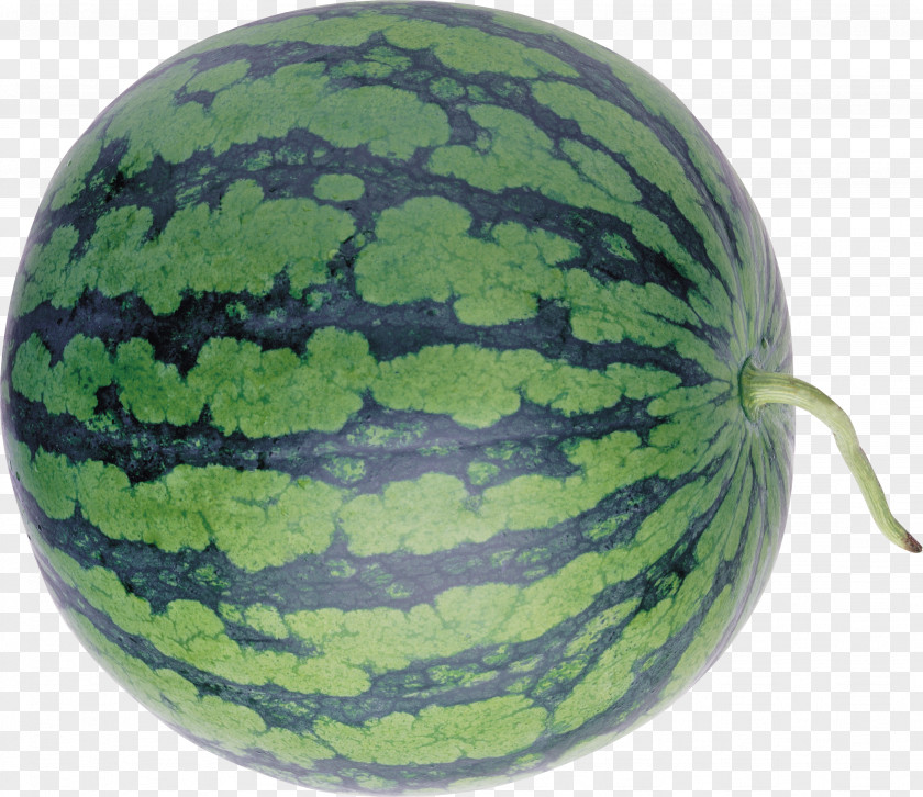 Watermelon Cucurbita Winter Squash Clip Art PNG