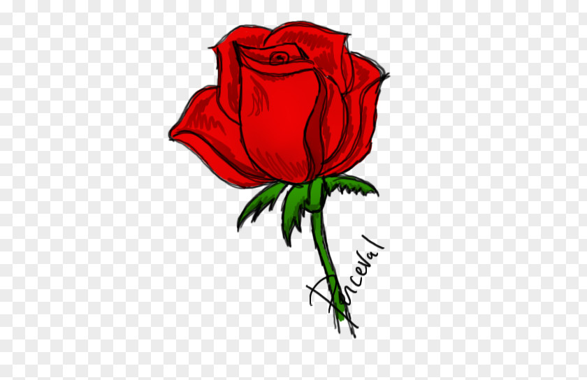 Rox Rouky Garden Roses Cut Flowers Clip Art PNG