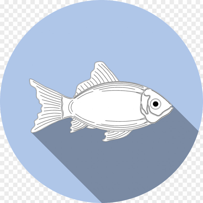 Allergy Fishing Fried Fish Seafood PNG