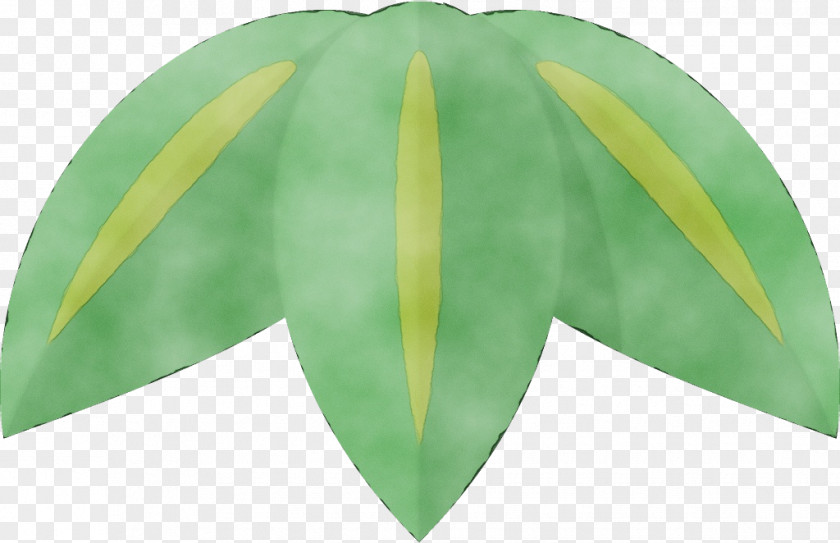 Anthurium Flower Leaf Green Yellow Plant Tree PNG
