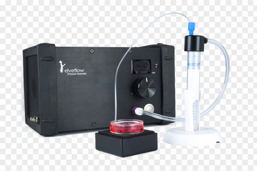 Cell Culture Organelle 4Dcell Micrometer PNG