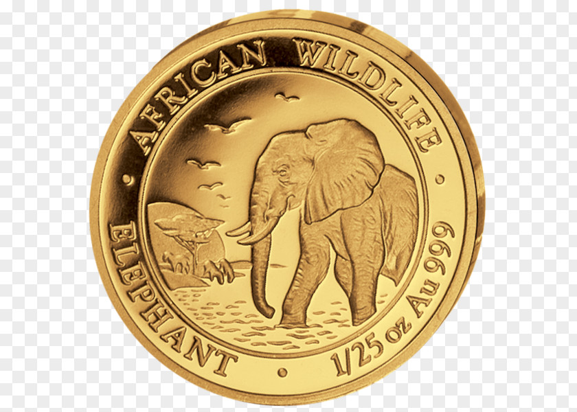 Coin Indian Elephant Gold African PNG