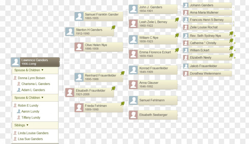 Family Tree Genealogy MyHeritage Ancestor PNG