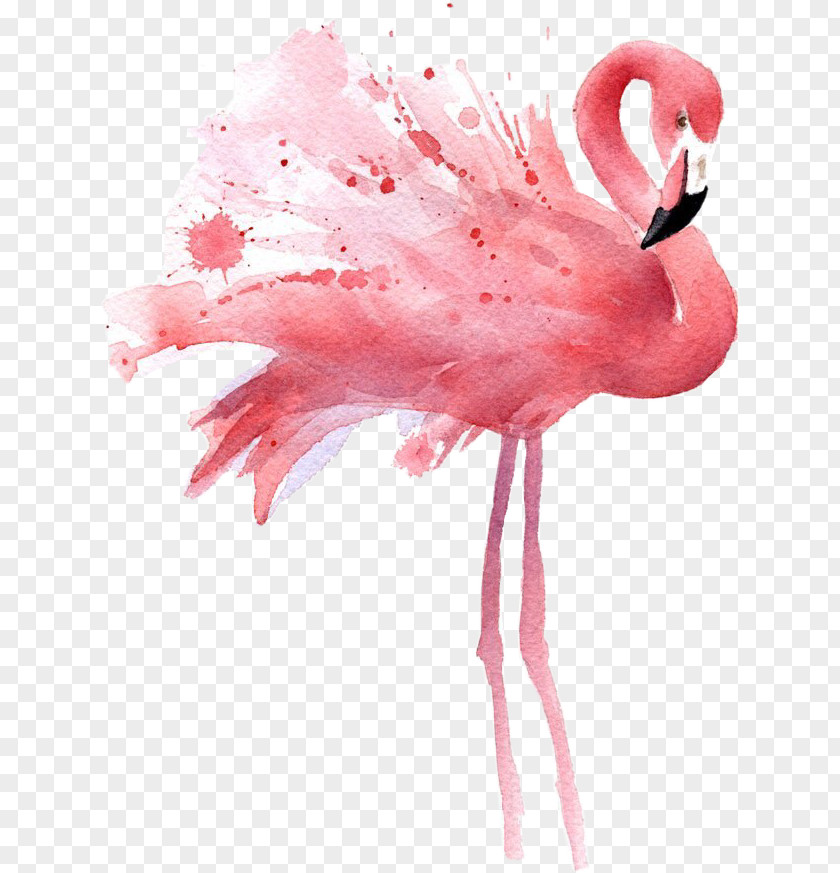 Flamingo Watercolour Watercolor Painting Work Of Art PNG