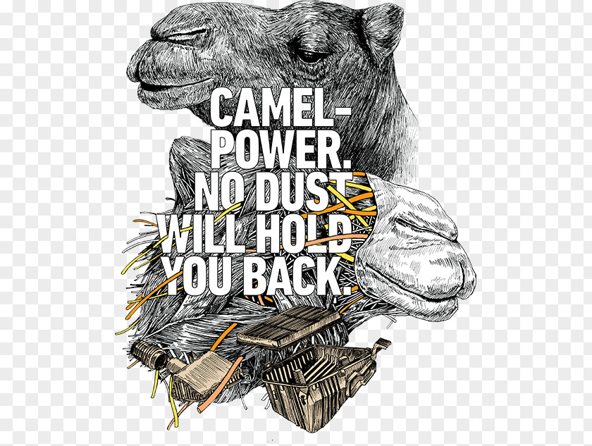 Sand Dust Camel Power Cannes Lions International Festival Of Creativity Advertising PNG