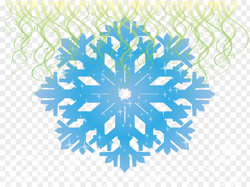 Vector Snowflakes Snowflake Ice Crystals PNG