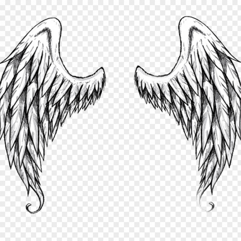 Angel Wings Drawing Caricatures Art Sketch PNG