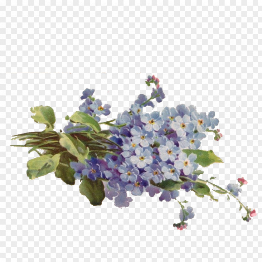 Forget Me Not Floral Design Cut Flowers Flower Bouquet PNG