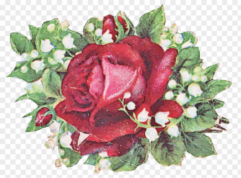 Garden Roses PNG