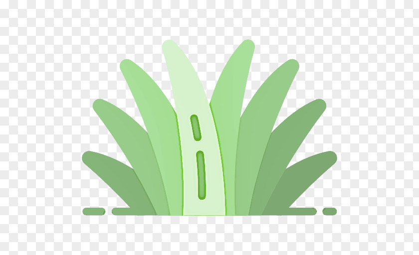 Perennial Plant Logo Green Leaf Grass Flower PNG