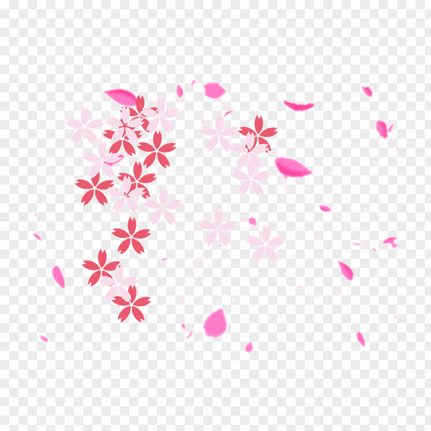 Schwimmender Blumen Cherry Blossom Vector Graphics Image Design PNG