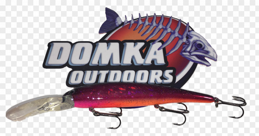 Fishing Baits & Lures Rapala Domka Outdoors Jigging PNG