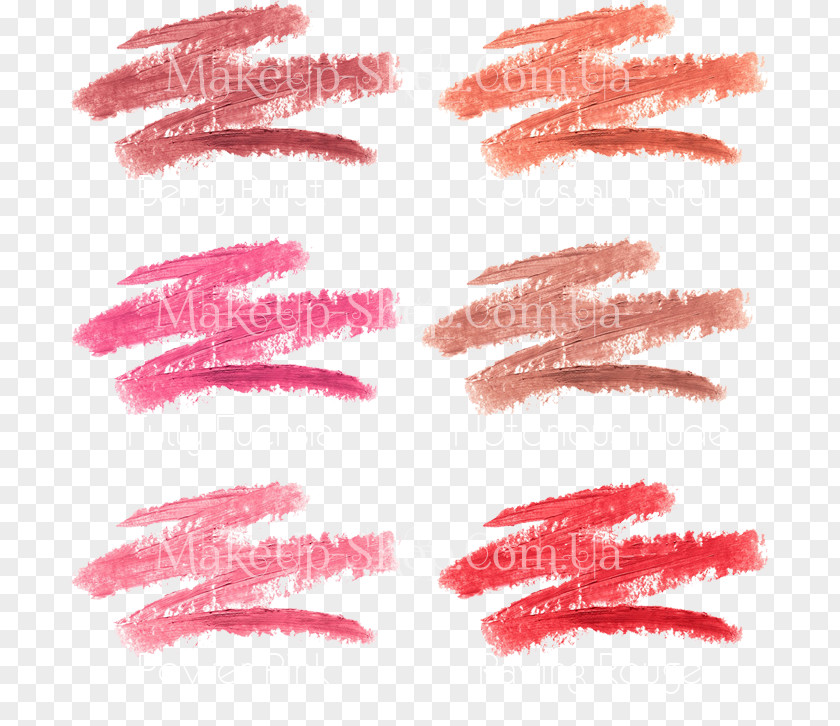 Lipstick Cosmetics Lakmé Enrich Lip Crayon Gloss PNG