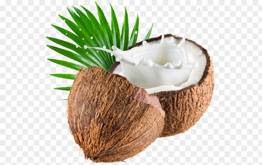Milk Coconut Water Oil PNG