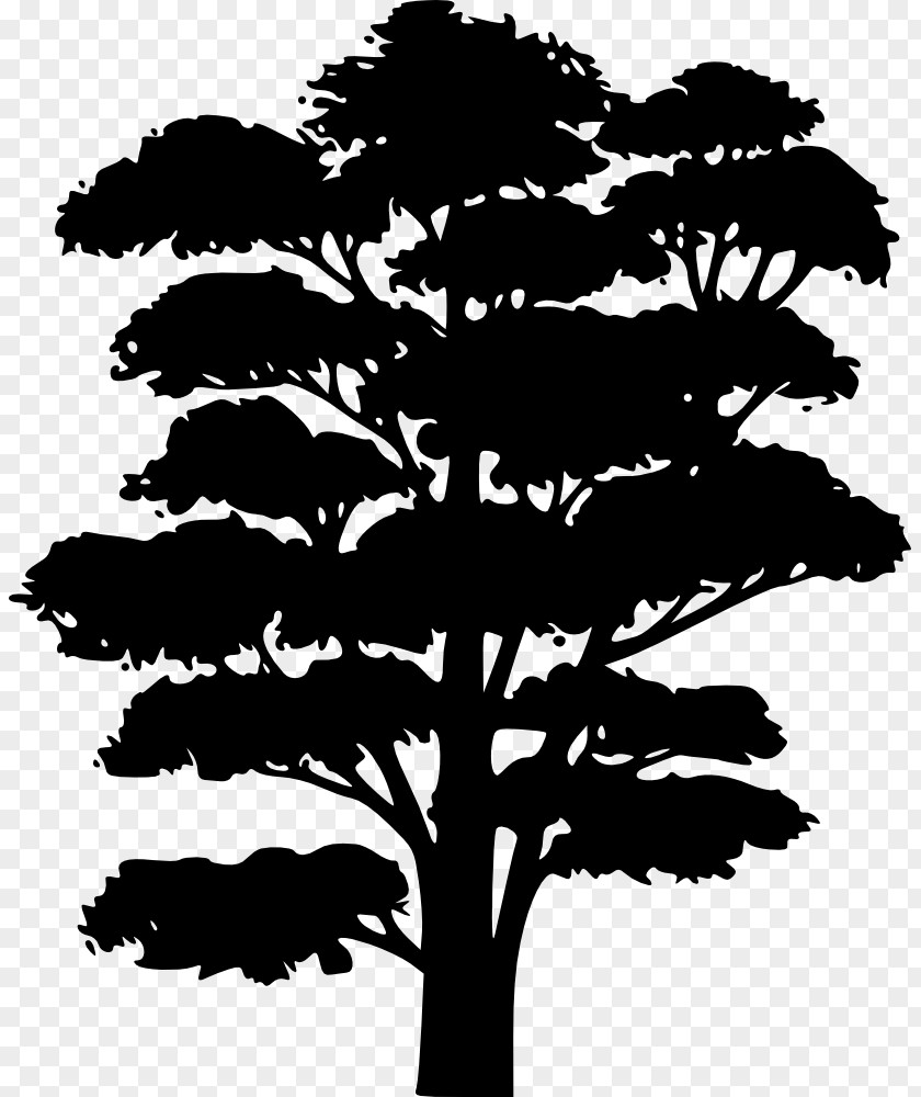 Oak Tree Silhouette Clip Art PNG
