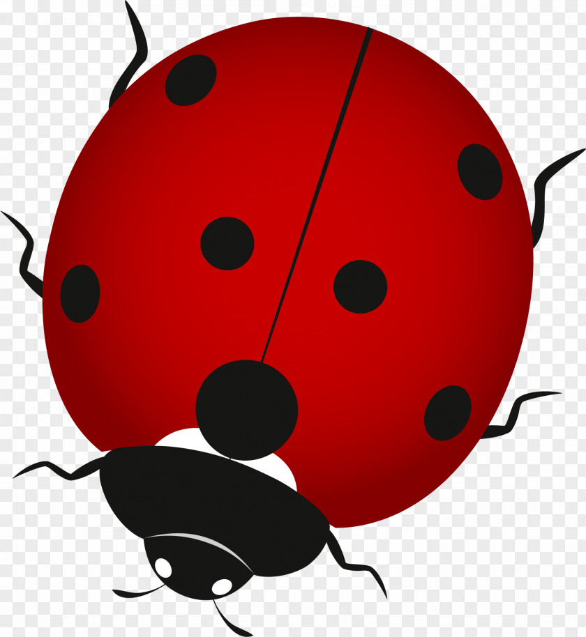 Painted Red Ladybug Ladybird Insect Clip Art PNG