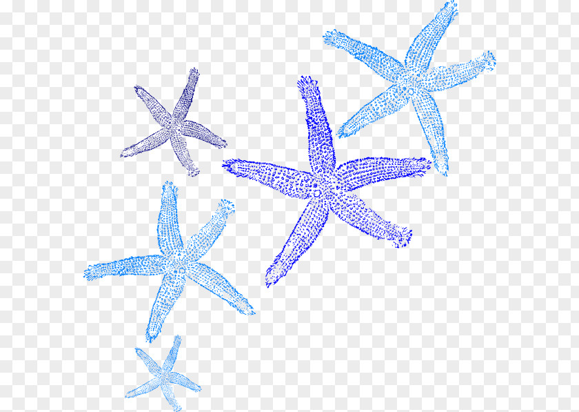 Starfish Clip Art PNG