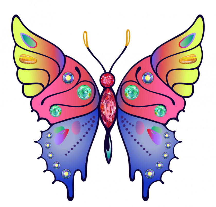 Butterfly Papillon Dog Color Clip Art PNG