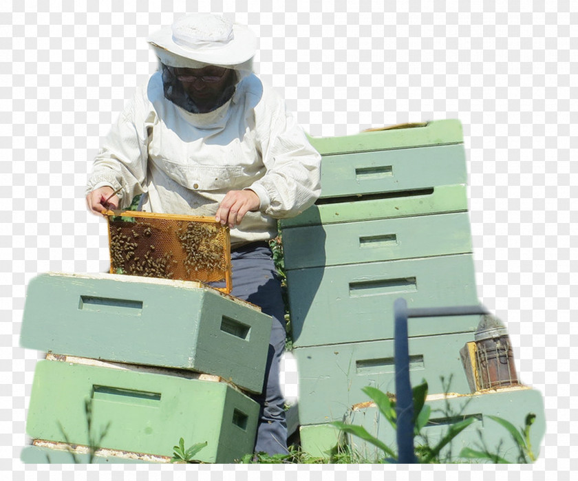 Collect Honey People Canada Beehive Beekeeping Beekeeper PNG