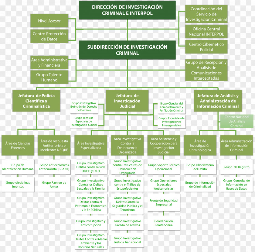 Design Brand Diagram PNG