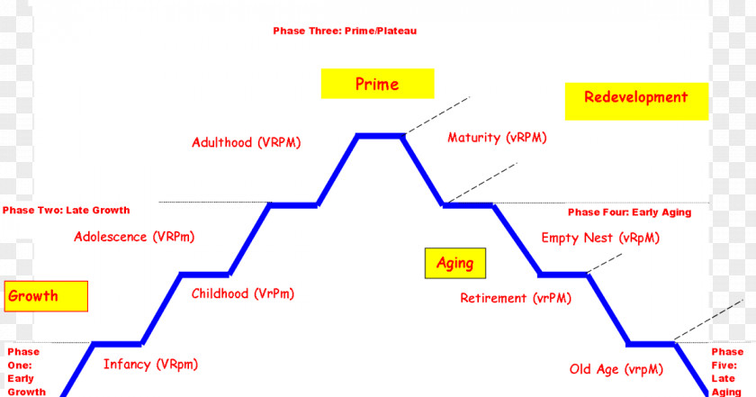 Development Cycle Line Organization Angle Diagram Brand PNG