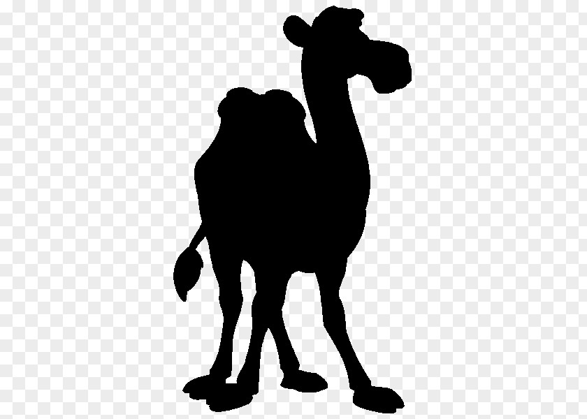 Dromedary Clip Art Bactrian Camel Pack Animal Silhouette PNG