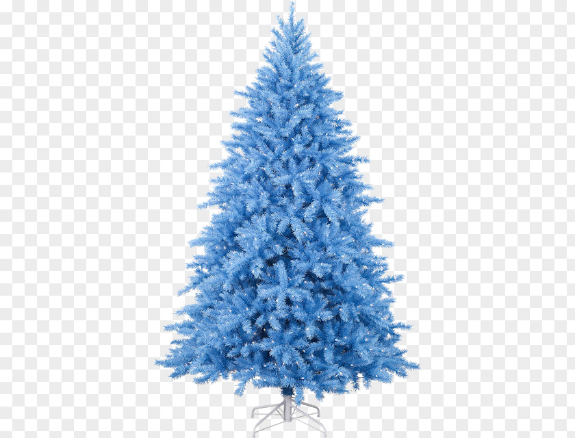 Lodgepole Pine Blue Christmas Tree PNG