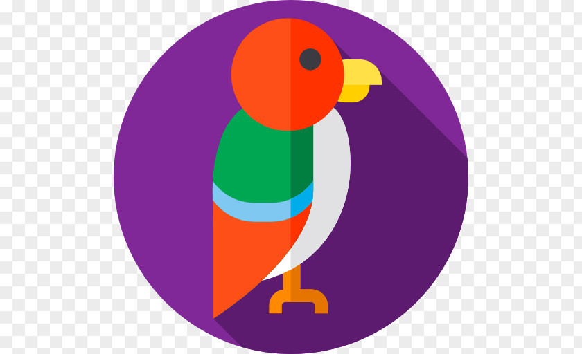 Pirate Parrot Art Bird Clip PNG